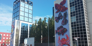 Street Art Wandeling: Vosseparkwijk