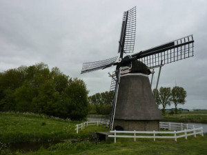 Froskepôlle