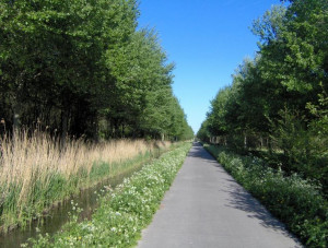 Leeuwarderbos